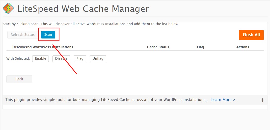 WordPress: seu site mais rápido com LiteSpeed Cache